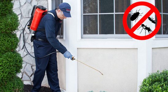 Eskifoça Kene İlaçlama böcek ilaçlama ve haşere kontrolü — ilaclama-tr.com